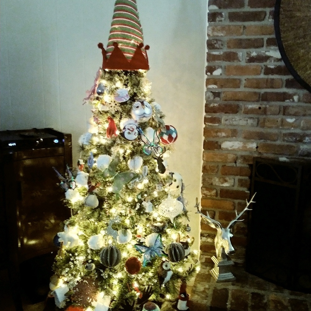 Meet your Posher, Devon